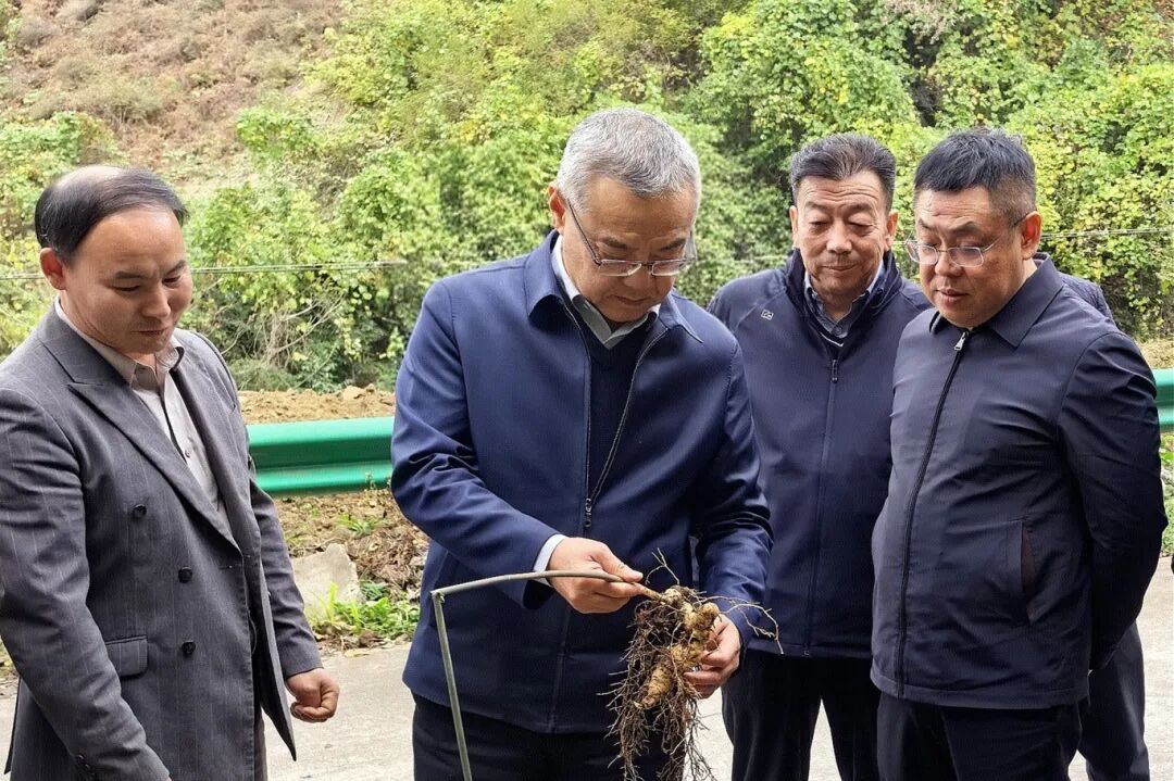 博彩公司排名